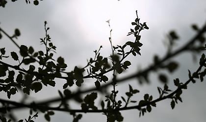 Καιρός: Ανεβαίνει ο υδράργυρος–Πού θα πέσουν τοπικές βροχές