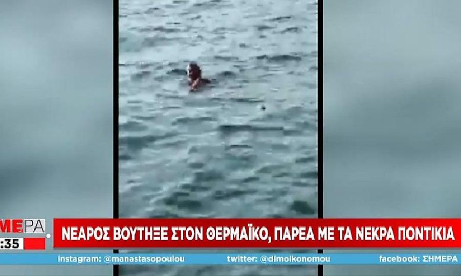 Ο Θερμαϊκός γέμισε νεκρά ποντίκια και ένας τουρίστας βούτηξε μέσα για να κολυμπήσει δίπλα τους