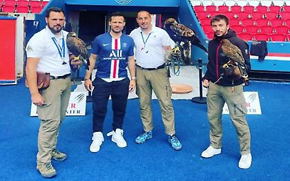 Έβαλαν γεράκι να προστατεύει τον χλοοτάπητα του «Παρκ ντε Πρενς»