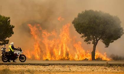 Η κλιματική αλλαγή θα αυξήσει τα επόμενα χρόνια τις δασικές πυρκαγιές παγκοσμίως