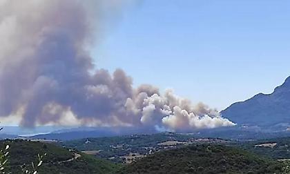 Σε ύφεση το μέτωπο της πυρκαγιάς προς Αχαΐα - Δύσκολη η κατάσταση στην Ηλεία