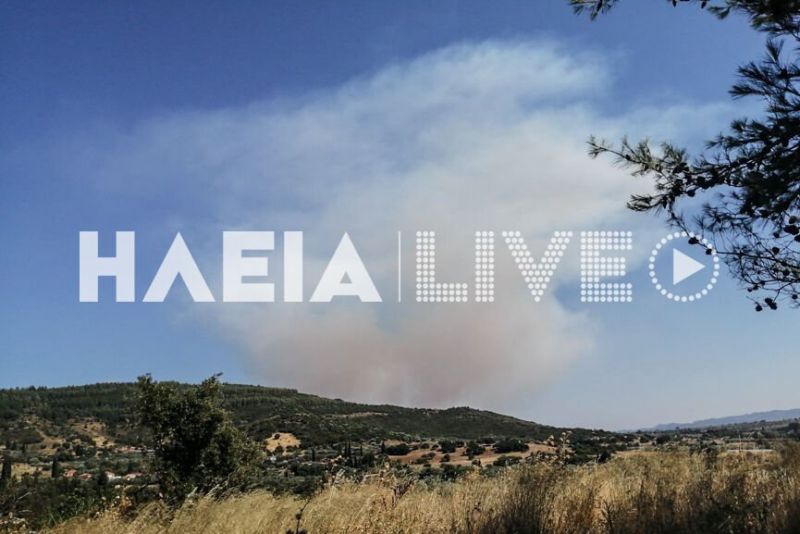Πυρκαγιά σε Αχαΐα-Ηλεία: