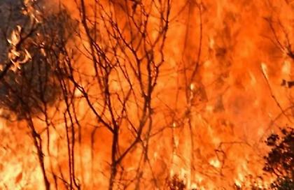 Στις φλόγες η Ελλάδα από το Άγιο Όρος μέχρι την Πελοπόννησο: 52 δασικές πυρκαγιές σε όλη τη χώρα