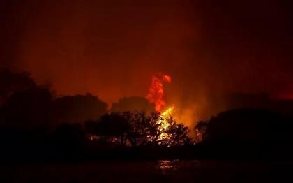Μαίνεται η φωτιά στην Ηλεία - Νέο μήνυμα 112 για εκκένωση Κότρωνας ή Καραγιαννέικα και Δαλαμπουρέικα