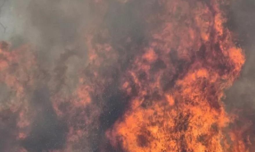 Κρανίδι Αργολίδας: Έχει ξεσπάσει πυρκαγιά