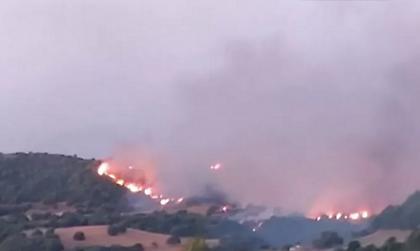 Δύσκολη νύχτα στην Ηλεία - Μαίνεται η φωτιά – «Συναγερμός» και σήμερα για τον κίνδυνο πυρκαγιάς