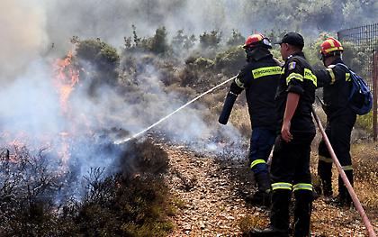 Βελτιωμένη η εικόνα της πυρκαγιάς στη Φωκίδα – Χωρίς ενεργό μέτωπο οι φωτιές σε Αργολίδα και Ηλεία