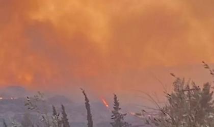Σε εξέλιξη η φωτιά στη Φωκίδα - Εκκενώθηκε η Βόρεια Ιτέα