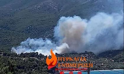 Φωτιά τώρα σε δασική έκταση στο Πόρτο Γερμενό - Eπιχειρούν και εναέρια μέσα