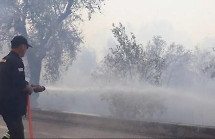 Ζάκυνθος: Υπό έλεγχο η πυρκαγιά στο Καμπί