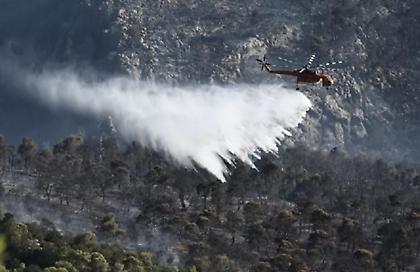 Έκτακτη ενημέρωση από την Πυροσβεστική: 378 δασικές πυρκαγιές σε μία εβδομάδα
