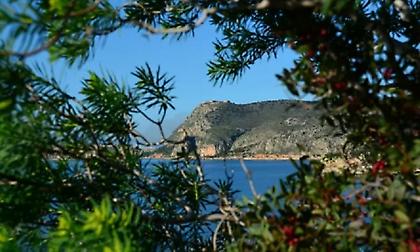 Καιρός σήμερα: Μικρή πτώση της θερμοκρασίας και ηλιοφάνεια