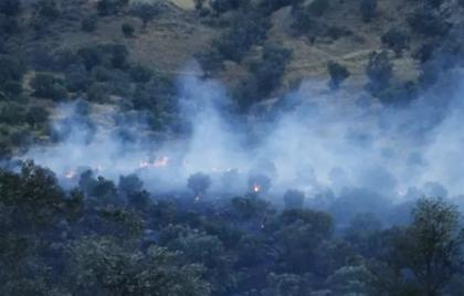 Ρέθυμνο: Μεγάλες αναζωπυρώσεις της φωτιάς - Βιβλική η καταστροφή, λέει ο δήμαρχος Αγίου Βασιλείου