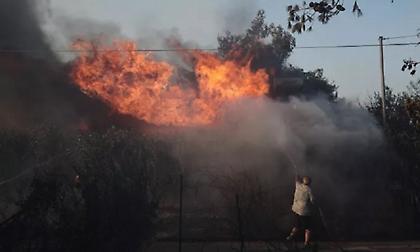 Σε πύρινο κλοιό η Αττική: Φωτιά τώρα στη Ραφήνα