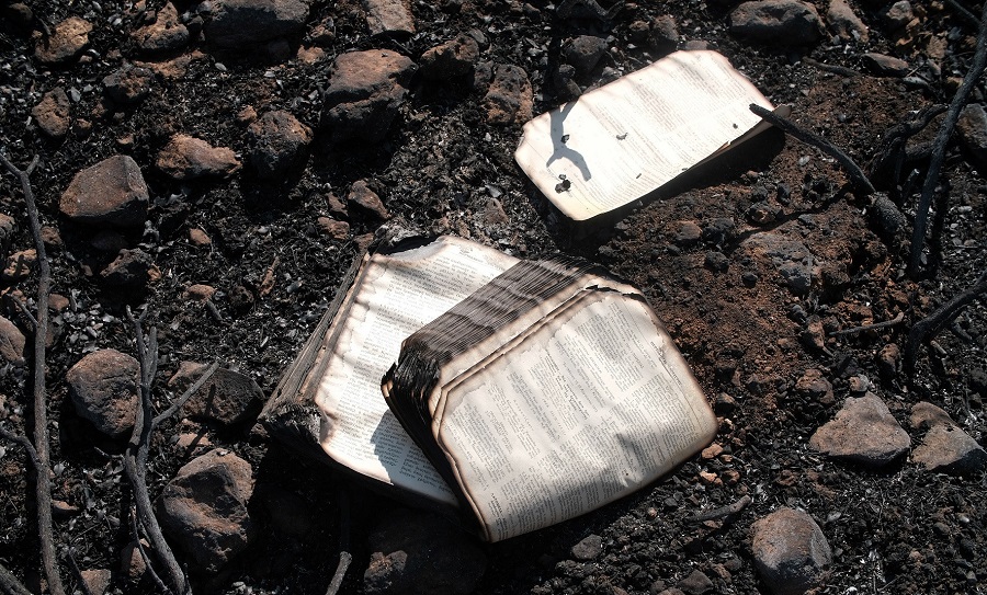 Φωτιά: Κρανίου τόπος όταν ξημέρωσε η Πεντέλη