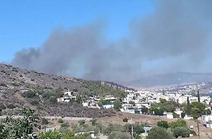 Υπό έλεγχο η φωτιά στην Σαλαμίνα
