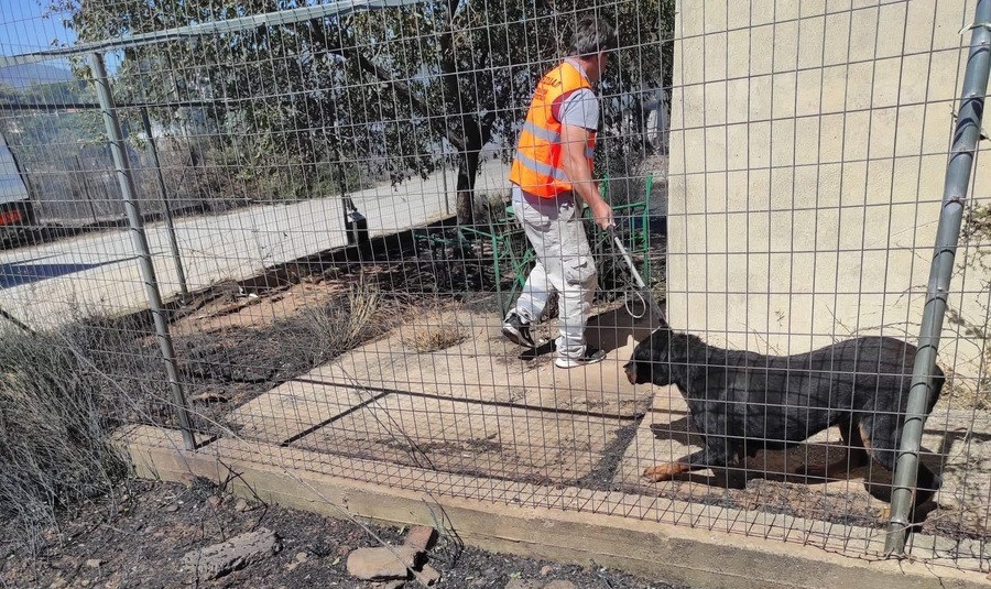 Φωτιά: Κρανίου τόπος όταν ξημέρωσε η Πεντέλη