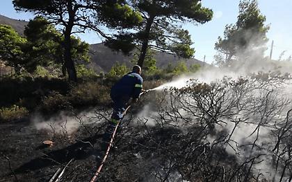 Εισαγγελική έρευνα για τις φωτιές σε Πεντέλη και Μέγαρα