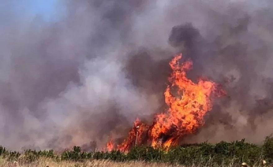 Ηλεία-Φωτιά: Κινείται προς τα χωριά Μύλους και Φανάρι