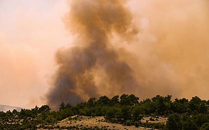 Στυλιανίδης από Δαδιά: Νέο σχέδιο κατάσβεσης – Συνεχείς οι αναζωπυρώσεις