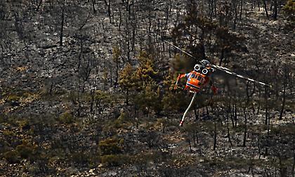 Φωτιά στη Δαδιά: Στη μάχη για πρώτη φορά και το «αντιπύρ» – Πώς θα χρησιμοποιηθεί