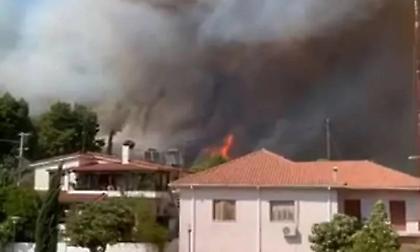 Ηλεία: Ανεξέλεγκτη η φωτιά στα Κρέστενα, στις αυλές των σπιτιών οι φλόγες!