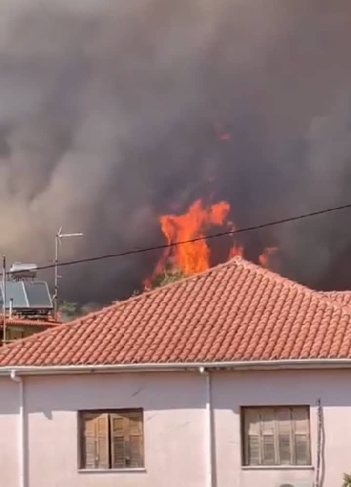 Ηλεία-φωτιά: Εκκενώνονται τα Κρέστενα, ο Γρύλλος, η Φρίξα