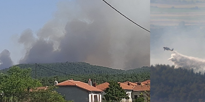 Φωτιά στον Έβρο: Γιατί επιχειρούν μόνο ελικόπτερα