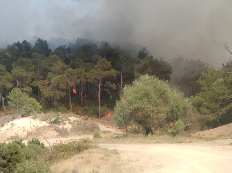 Φωτιά στον Έβρο: Γιατί επιχειρούν μόνο ελικόπτερα
