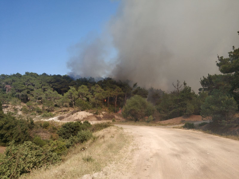 Φωτιά στον Έβρο: Γιατί επιχειρούν μόνο ελικόπτερα