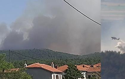 Ώρες αγωνίας για τη φωτιά στη Δαδιά - Πυροσβεστική: «Στον Έβρο έχουμε πρόβλημα»