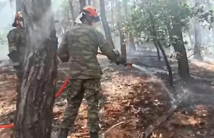 Έβρος: Η επικίνδυνη μάχη με τις φλόγες που δίνουν οι πυροσβέστες στη Δαδιά – Δείτε βίντεο