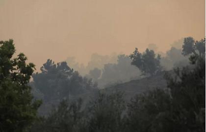 Αναζωπυρώσεις στα πύρινα μέτωπα της Λέσβου-Ενισχύθηκαν οι άνεμοι