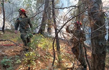 Φωτιά στη Δαδιά: Συνεχίζεται η μάχη για την κατάσβεση στο νοτιοδυτικό μετωπο