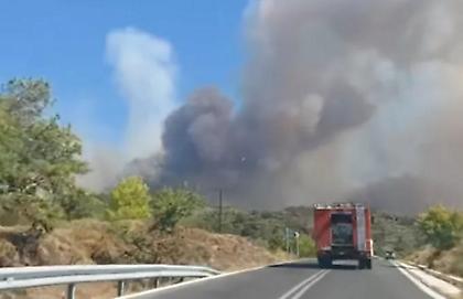 Φωτιά στη Λέσβο: Απομακρύνθηκαν 130 άτομα από το χωριό Βρίσα