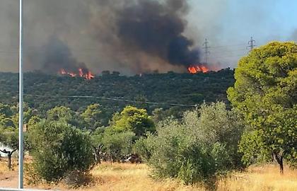 Φωτιά στη Μάνδρα: Πολύ καλύτερη η εικόνα - Καίνε μικροεστίες