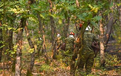 Φωτιά στη Δαδιά: Καίγεται για έβδομη μέρα το παρθένο δάσος