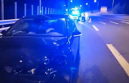 Κοζάνη: Αρκούδα συγκρούστηκε με αυτοκίνητο στην Εγνατία Οδό