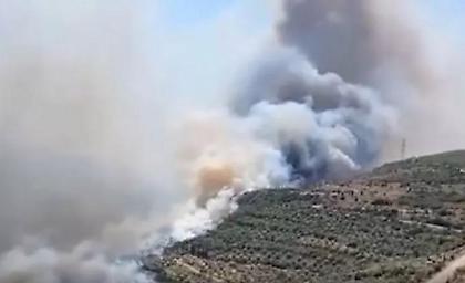 Φωτιά στην Βοιωτία: Μάχη με τις φλόγες που βρίσκονται 1 χλμ. από το Δίστομο