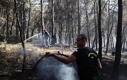 Φωτιές: Υπό έλεγχο οι πυρκαγιές στην Ηλεία, οριοθετημένο το μέτωπο στην Κορινθία