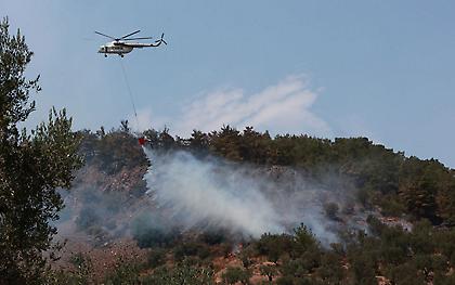 Φωτιά τώρα στη Φθιώτιδα