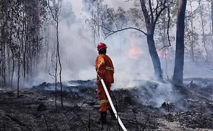 Πολύ υψηλός κίνδυνος πυρκαγιάς την Τρίτη - Ποιες περιοχές είναι στο «πορτοκαλί»