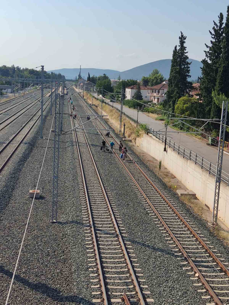 Λαμία: Τρένο εκτροχιάστηκε, μετά από σύγκρουση με αγελάδα
