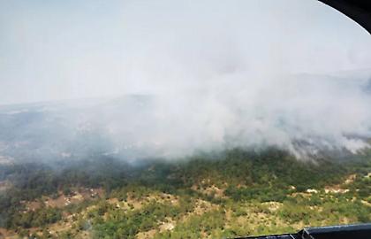 Πάνω από 132.000 στρέμματα έκαψαν οι δασικές πυρκαγιές του Ιουλίου