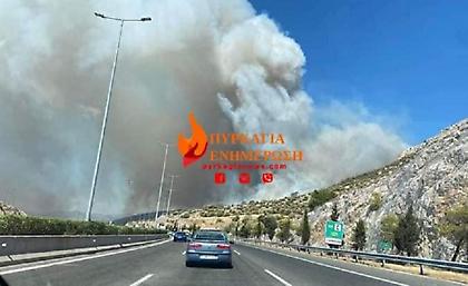 Φωτιά στη Νέα Πέραμο, επιχειρούν και εναέρια μέσα - Κλειστή η Ολυμπία Οδός, από την παλιά τα οχήματα