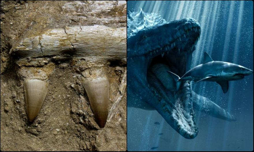 Μοσόσαυρος: Ανακαλύφθηκαν απολιθώματα 10 μέτρων!