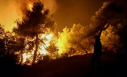 Ολονύχτια μάχη με τις φλόγες στο Άγιο Όρος- Πού εκτείνεται το πύρινο μέτωπο