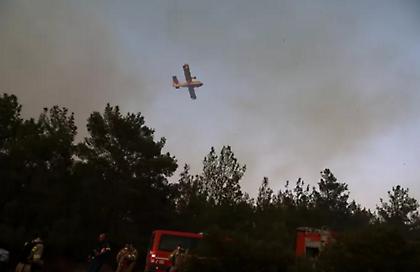 Φωτιά στο Άγιο Όρος- Επιχειρούν ισχυρές πυροσβεστικές δυνάμεις