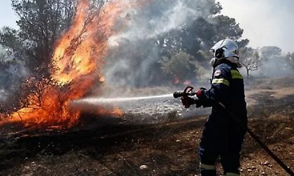 Υπό μερικό έλεγχο η φωτιά στο Άγιο Όρος - Μαίνεται η πυρκαγιά στην Κόνιτσα