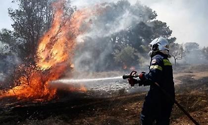 Μαίνονται οι φωτιές σε Άγιο Όρος και Κόνιτσα- Επιχειρούν ισχυρές πυροσβεστικές δυνάμεις